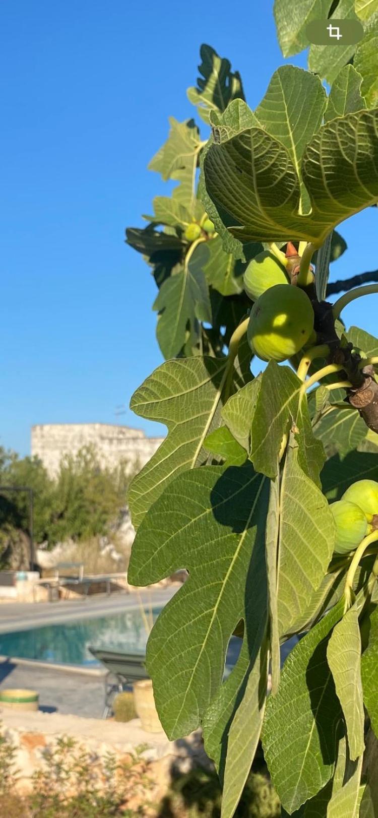 Masseria Serafino Ostuni Exterior photo